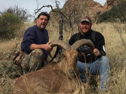 Aoudad Sheep Hunt in West Texas